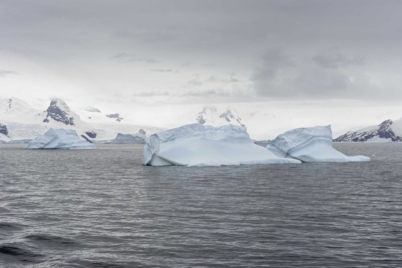 Icebergs in Gerlache Strait