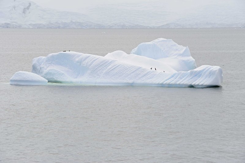 Icebergs in the Gerlache Strait