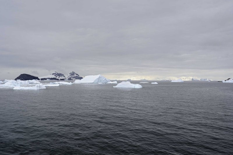 More Icebergs in the Gerlache Strait