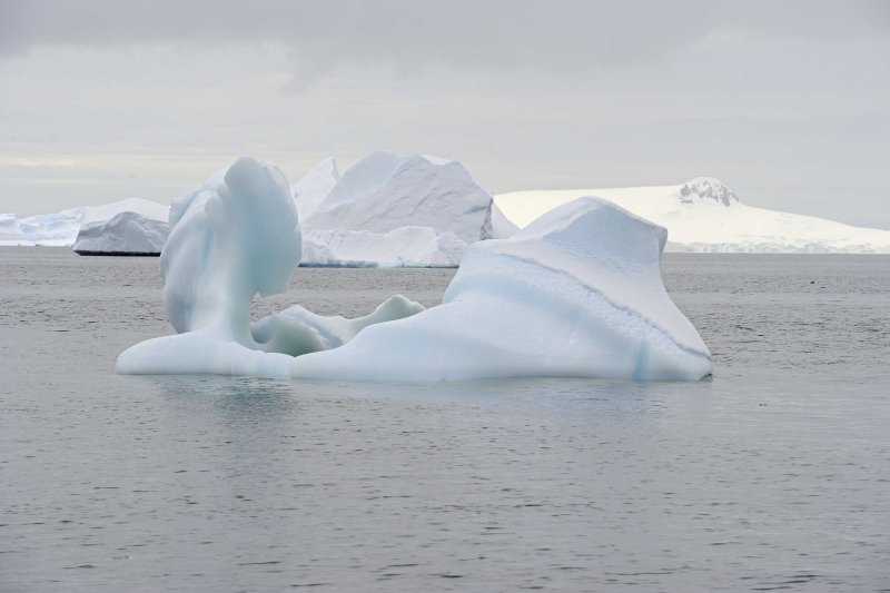 Icebergs floating near Cuverville Island