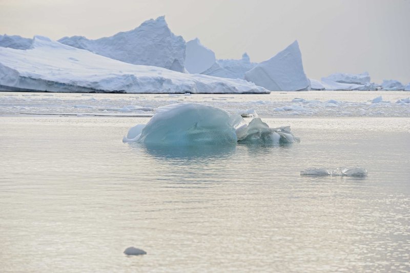 Iceberg