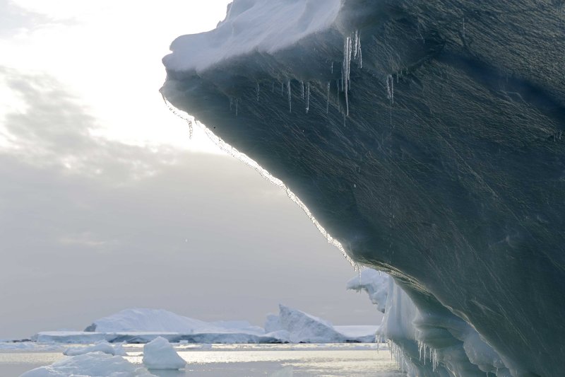 Iceberg