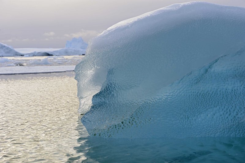 Iceberg