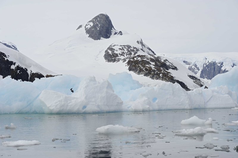 Iceberg in Penola Strait