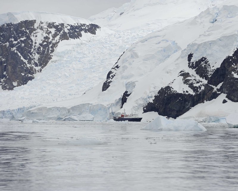 Ortelius anchored among the ice of Andvord Bay