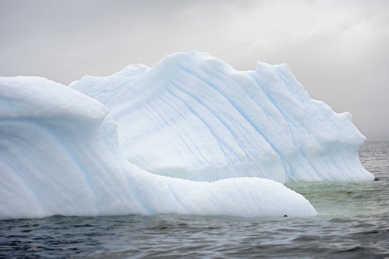 Iceberg in Errera Channel