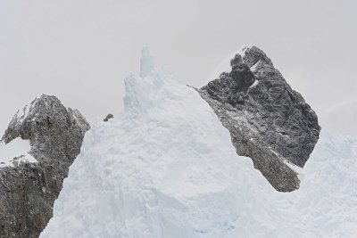 g9/40/624440/3/155010745.q6aUuYjI.jpg