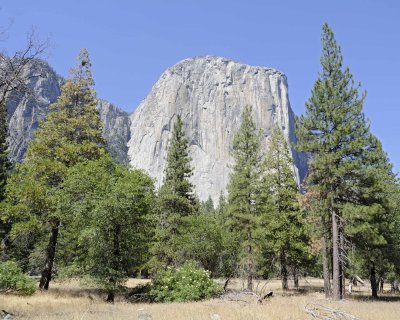 El Capitan-070314-Yosemite National Park-#0141.jpg