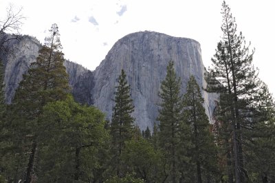 El Capitan-070614-Yosemite National Park-#0258.jpg