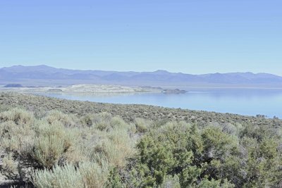 Mono Lake-070314-Lee Vining, CA-#0287.jpg