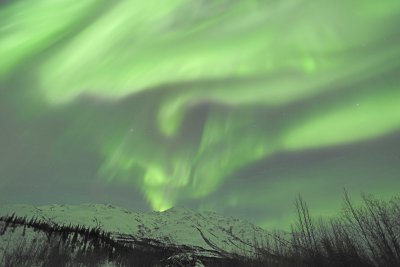 Aurora Borealis-031815-Wiseman, AK-#0187.jpg