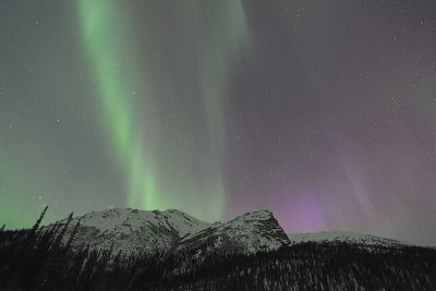 Aurora Borealis-032015-Dalton Highway, Neutriwick Pullout, AK-#0269.jpg