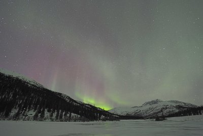 Aurora Borealis-032015-Dalton Highway, Neutriwick Pullout, AK-#0340.jpg