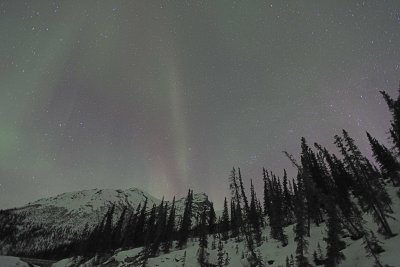 Aurora Borealis-032015-Dalton Highway, Neutriwick Pullout, AK-#0390.jpg