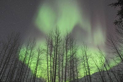 Aurora Borealis-032215-Wiseman, AK-#0148.jpg