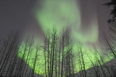 Aurora Borealis-032215-Wiseman, AK-#0149.jpg