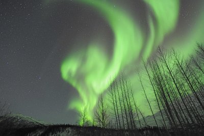 Aurora Borealis-032215-Wiseman, AK-#0160.jpg