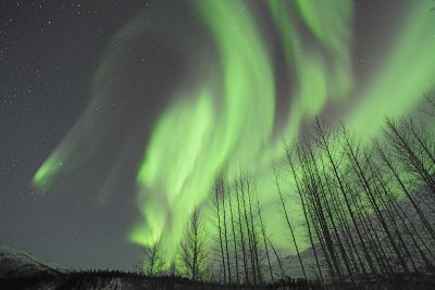 Aurora Borealis-032215-Wiseman, AK-#0161.jpg
