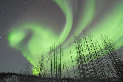Aurora Borealis-032215-Wiseman, AK-#0167.jpg