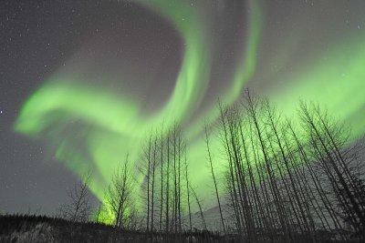 Aurora Borealis-032215-Wiseman, AK-#0169.jpg