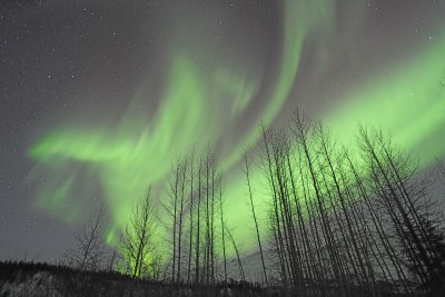 Aurora Borealis-032215-Wiseman, AK-#0171.jpg