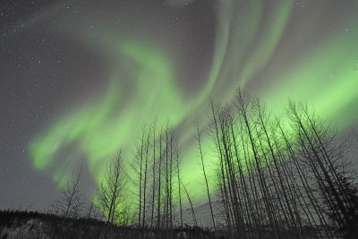 Aurora Borealis-032215-Wiseman, AK-#0173.jpg