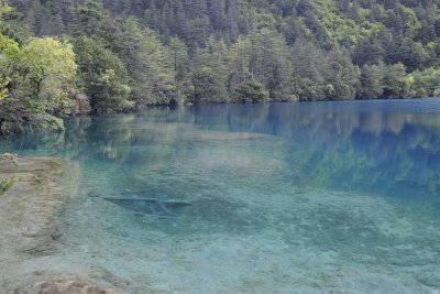 Lake-051315-Jiuzhaigou Nature Reserve, China-#0572.jpg