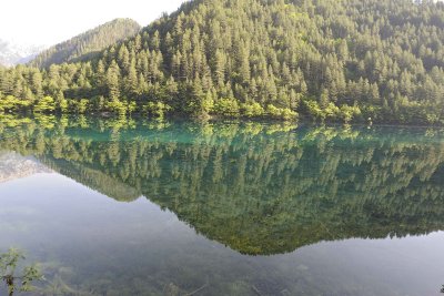 Mirror Lake-051315-Jiuzhaigou Nature Reserve, China-#0019.jpg