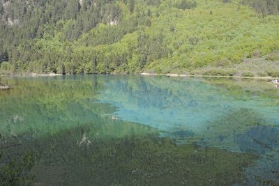 Peacock Lake-051315-Jiuzhaigou Nature Reserve, China-#0150.jpg