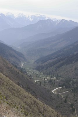 Mountain Pass Road-051415-Shen Xian Chi, China-#0297.jpg