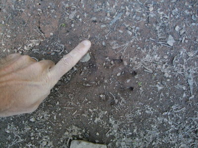 DSCF2882.JPG