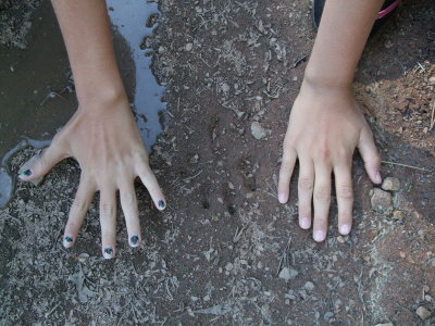 DSCF2885.JPG