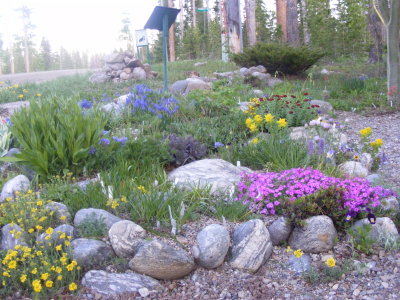 DSCF2924.JPG