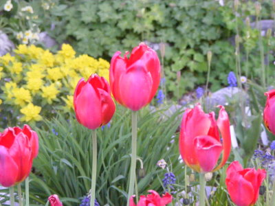DSCF2927.JPG