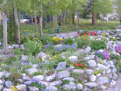 DSCF2928.JPG