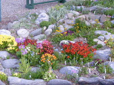 DSCF2929.JPG