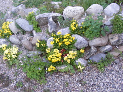 DSCF2930.JPG