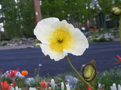 DSCF2947.JPG
