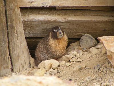 DSCF2962.JPG