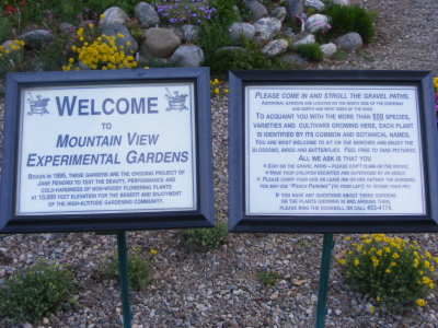DSCF2923.JPG