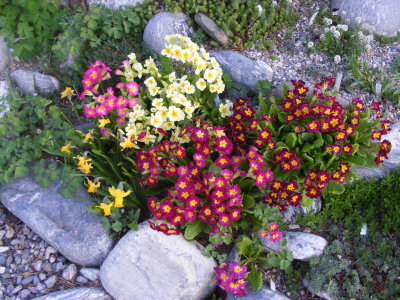 DSCF2949.JPG