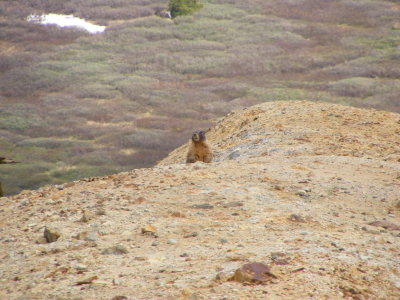DSCF2959.JPG
