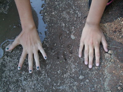 DSCF2885.JPG