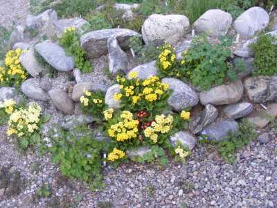 DSCF2930.JPG