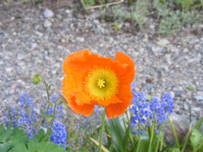 DSCF2932.JPG