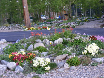 DSCF2946.JPG