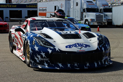 TA Kryderacing/Chevrolet Corvette David Pintaric 