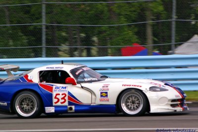 19TH MICHAEL HARTLEY VIPER