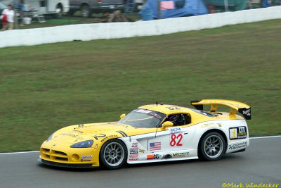 10TH MICHAEL MCCANN VIPER