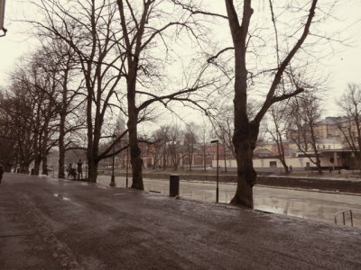 20170128